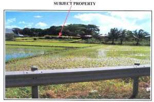 Property for Sale - Lots 1-A-1 & 1-B-2-B-6 Gen. Santos Highway, Bgy. Poblacion,